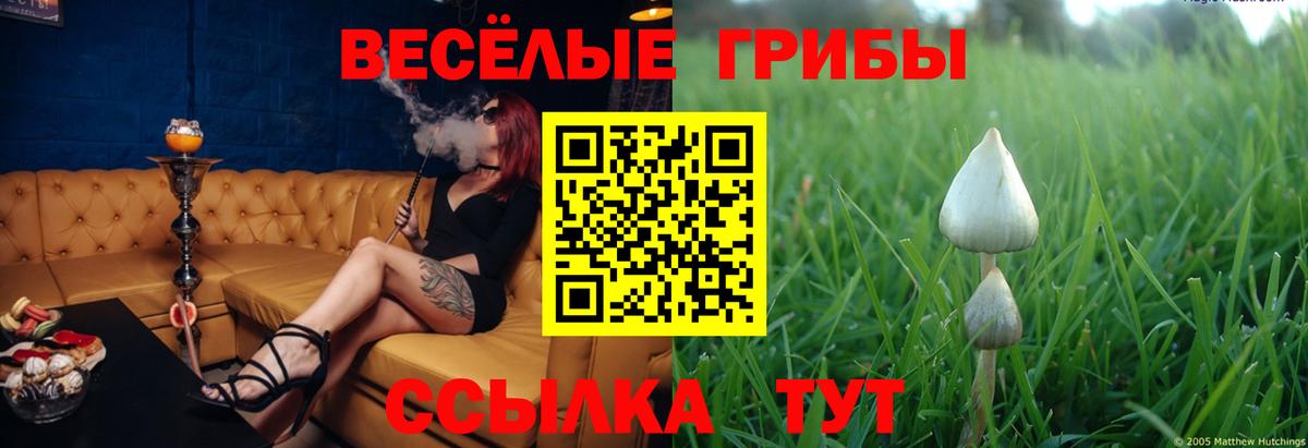 Галлюциногенные грибы прущие грибы Пушкино
