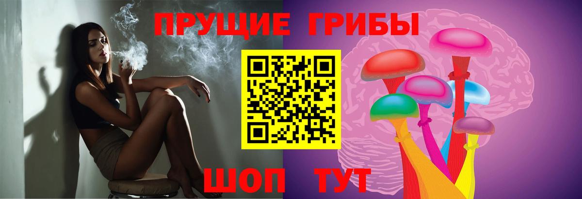 Галлюциногенные грибы Psilocybine cubensis  Галлюциногенные грибы GOLDEN TEACHER  Вход с VPN  Пушкино 