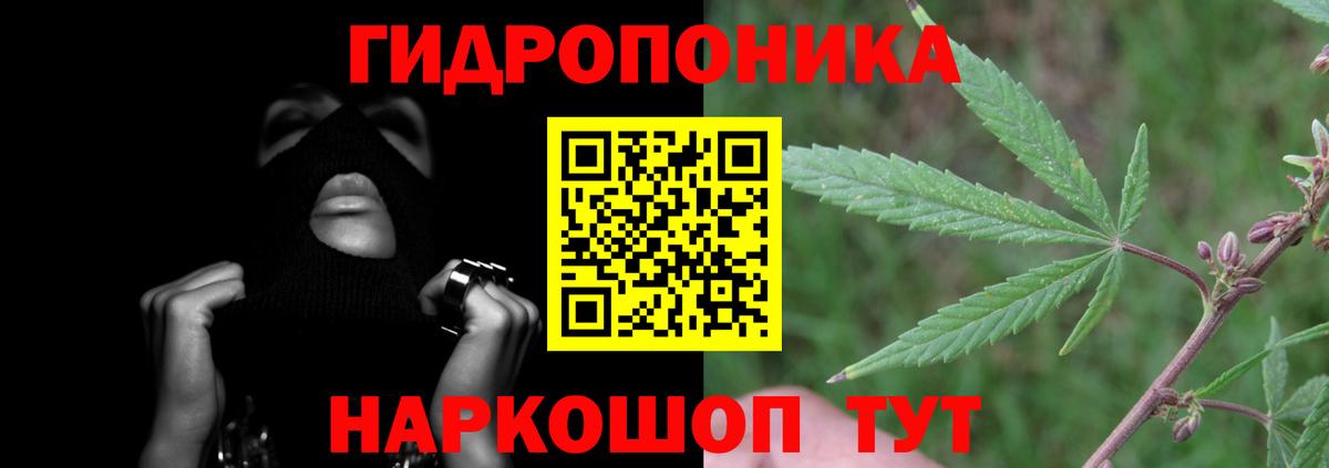 Каннабис гибрид Пушкино